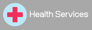 text reads "health services" in white font with a picture of a red health cross to the left of the text. linked included.